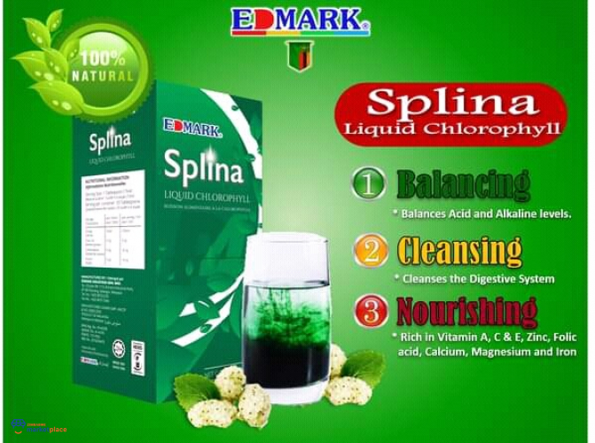 FB_IMG_16281858266773596