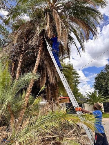 Screenshot_20241203_071928_com.facebook.katana_edit_191411660404646